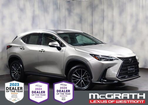 Atomic Silver 2022 Lexus NX 250 Premium