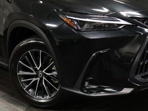 2023 Lexus NX 350 Base