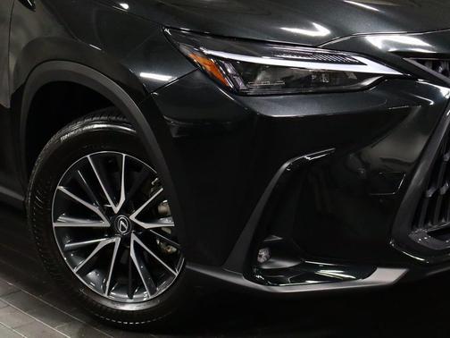 2023 Lexus NX 350 Base