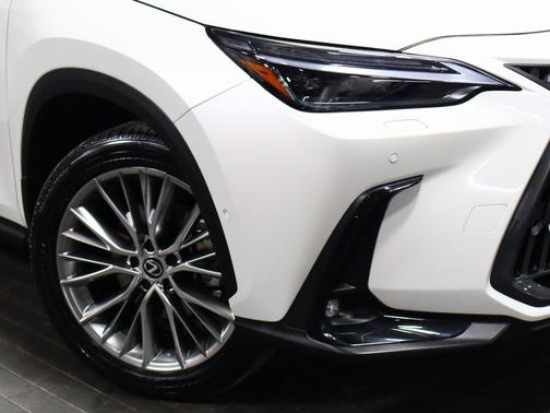 2025 Lexus NX 350 Luxury