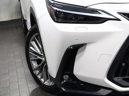 2025 Lexus NX 350 Luxury