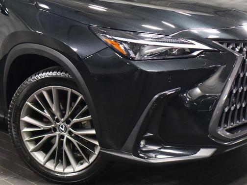 2022 Lexus NX 350h Premium