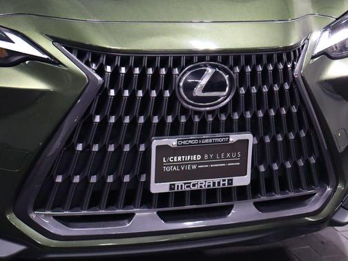 Nori Green Pearl 2023 Lexus NX 250 Base