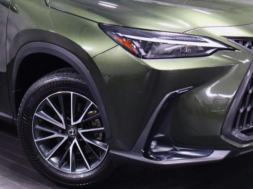 Nori Green Pearl 2023 Lexus NX 250 Base