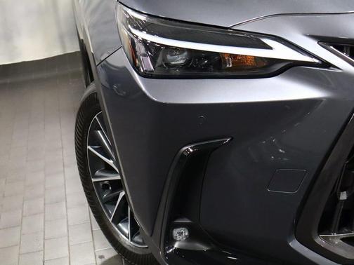 2024 Lexus NX 250 Premium