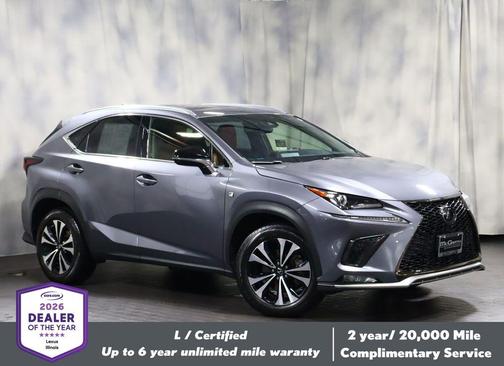 Nebula Gray Pearl 2021 Lexus NX 300 F Sport