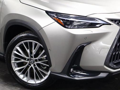 2025 Lexus NX 350 Luxury