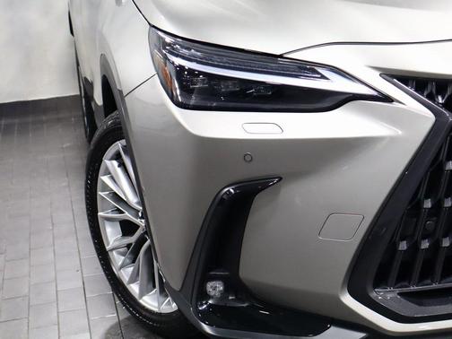 2025 Lexus NX 350 Luxury