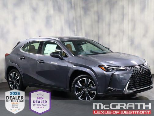 Cloudburst Gray 2026 Lexus UX 300h Premium