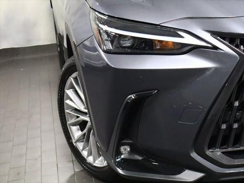 2025 Lexus NX 350h Premium
