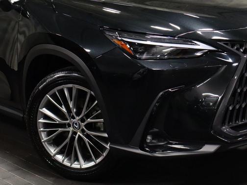 2022 Lexus NX 350h Luxury
