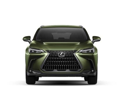 2025 Lexus NX 350 Luxury