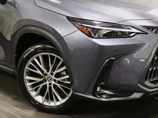 2025 Lexus NX 350h Premium