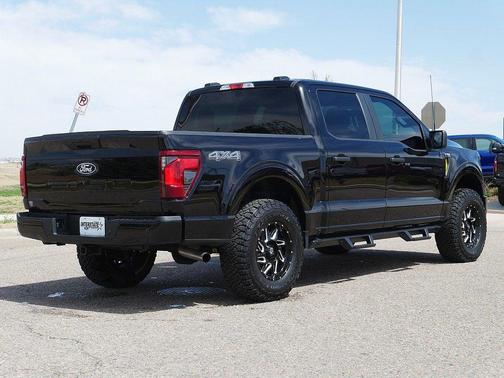 AGATE BLACK METALLIC 2025 Ford F-150 STX