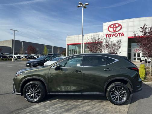 Nori Green Pearl 2023 Lexus NX 350 Premium