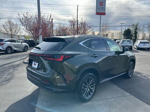 Nori Green Pearl 2023 Lexus NX 350 Premium