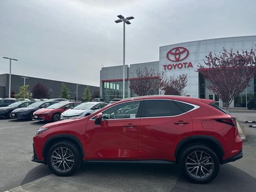Redline 2023 Lexus NX 350 Premium