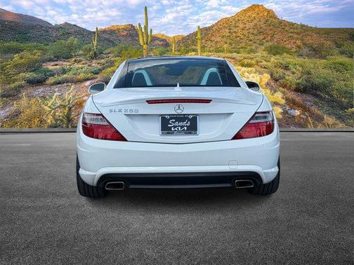 2014 Mercedes-Benz SLK-Class SLK 250