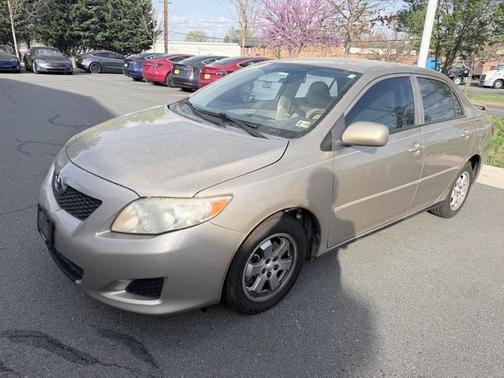 Desert Sand Mica 2010 Toyota Corolla LE