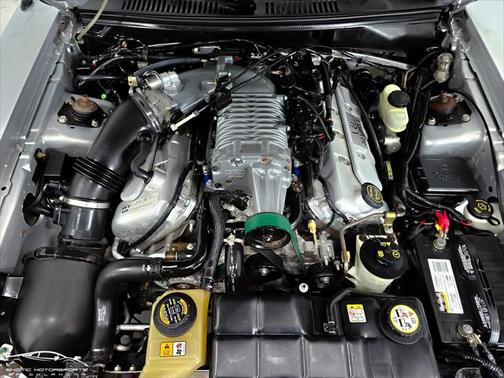 2004 Ford Mustang SVT Cobra