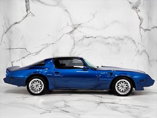 1981 Pontiac Firebird Trans Am