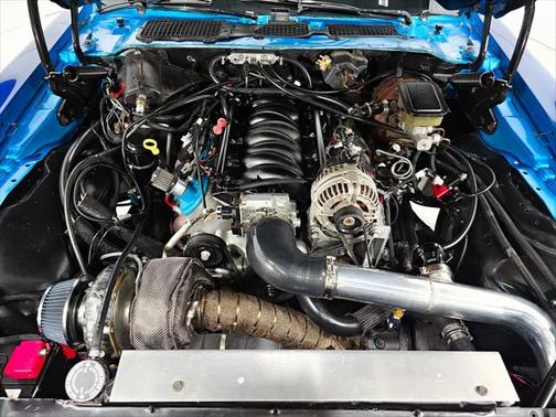 1981 Pontiac Firebird Trans Am