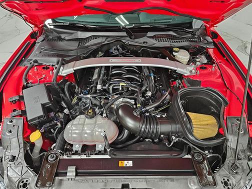 2019 Ford Shelby GT350 Base