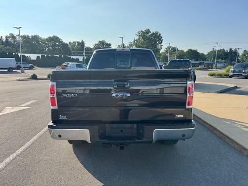 Tuxedo Black 2010 Ford F-150 FX4
