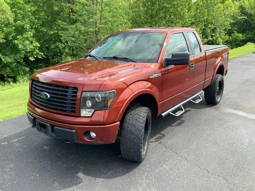 Sunset Metallic 2014 Ford F-150 STX