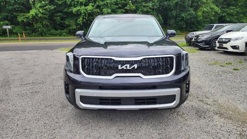 Panthera Metal 2025 Kia Telluride LX
