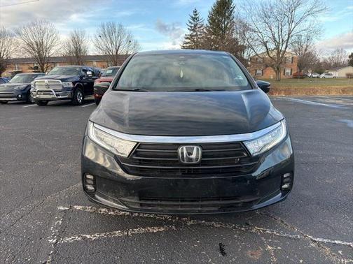2024 Honda Odyssey Elite