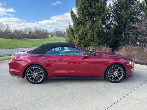 2019 Ford Mustang EcoBoost Premium