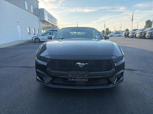 Shadow Black 2025 Ford Mustang EcoBoost Premium