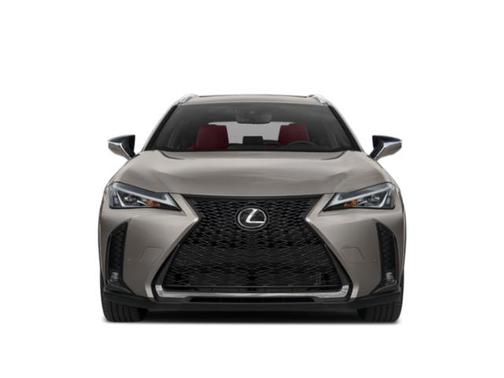 2021 Lexus UX 200 F Sport