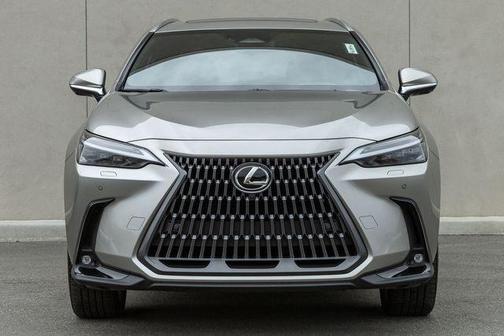 2024 Lexus NX 450h+ Luxury