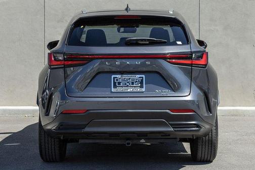 Cloudburst Gray 2023 Lexus NX 350 Premium