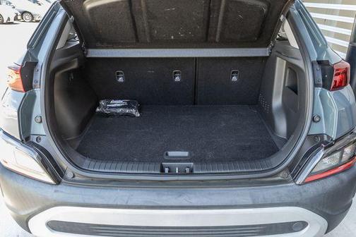 Cactus Fern 2022 Hyundai KONA SEL