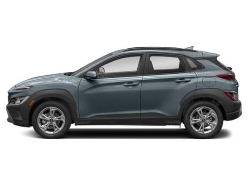 Cactus Fern 2022 Hyundai KONA SEL
