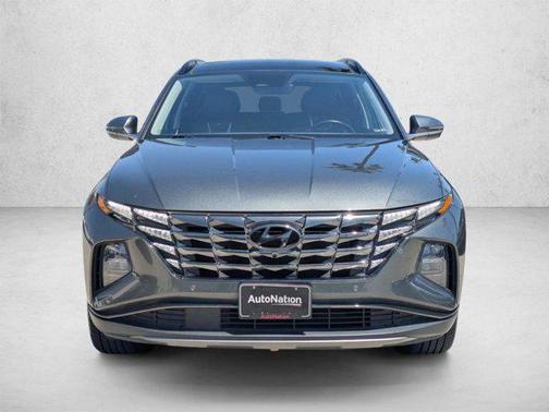 Amazon Gray 2023 Hyundai TUCSON Limited