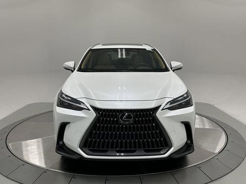 2025 Lexus NX 250 Premium