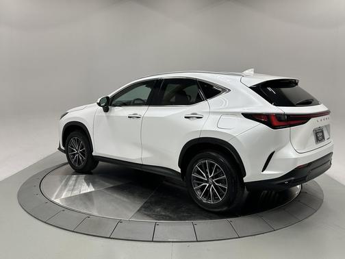 2025 Lexus NX 250 Premium