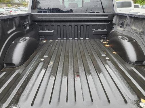 2017 Ford F-150 PLATINUM