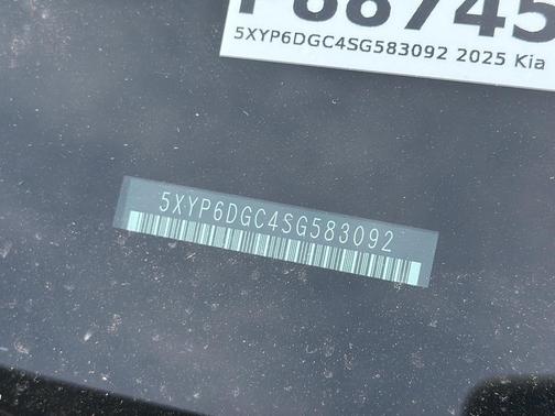 Panthera Metal 2025 Kia Telluride S