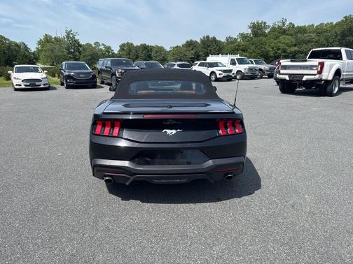Shadow Black 2024 Ford Mustang EcoBoost Premium