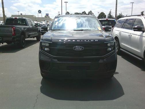 Agate Black Metallic 2025 Ford Expedition Active