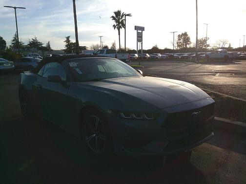 2025 Ford Mustang EcoBoost Premium