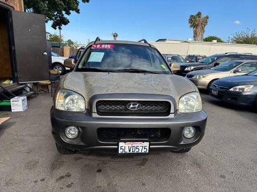 Sandstone/Warm Gray Cladding 2004 Hyundai SANTA FE GLS
