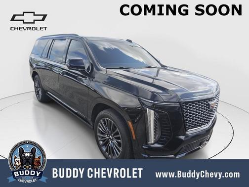 Black Raven 2025 Cadillac Escalade ESV Sport Platinum