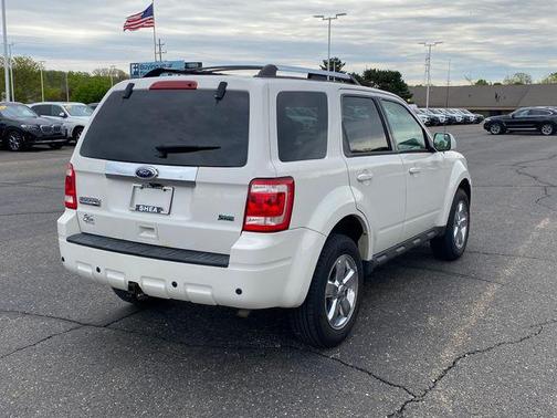 White Suede 2010 Ford Escape Limited