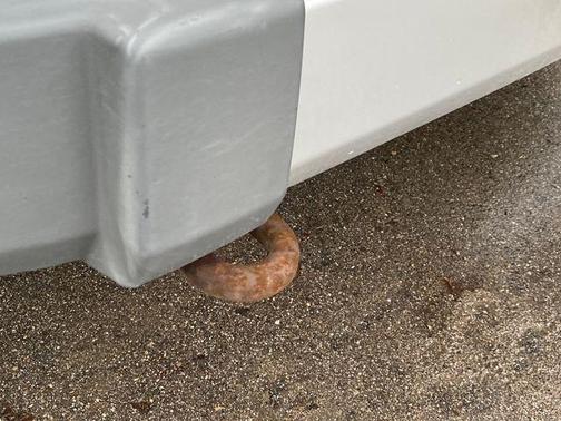 2009 Jeep Wrangler Sahara